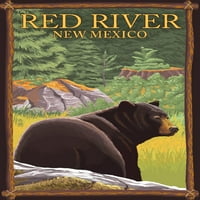 Червена река, Ню Мексико, Черна мечка в гора