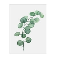 Пасторално зелено растение на фарфи в северния стил се оставя модерна минималистична декоративна живопис