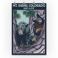 Mt. Evans, Colorado Elv. 14, - Семейство Black Bear - Плакат за пресата на фенера