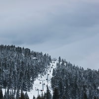 Ски асансьори, пиков пик кабинков кабинет, планина Whistler, Whistler, British Columbia, Poster Protter от Канада от панорамни изображения