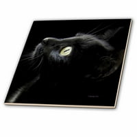 3Drose Black Cat Face - керамична плочка